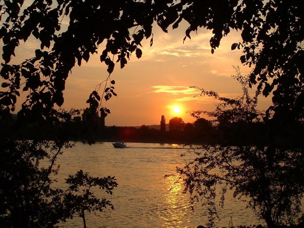 Zur Rheinschanz Bad Honningen Dış mekan fotoğraf