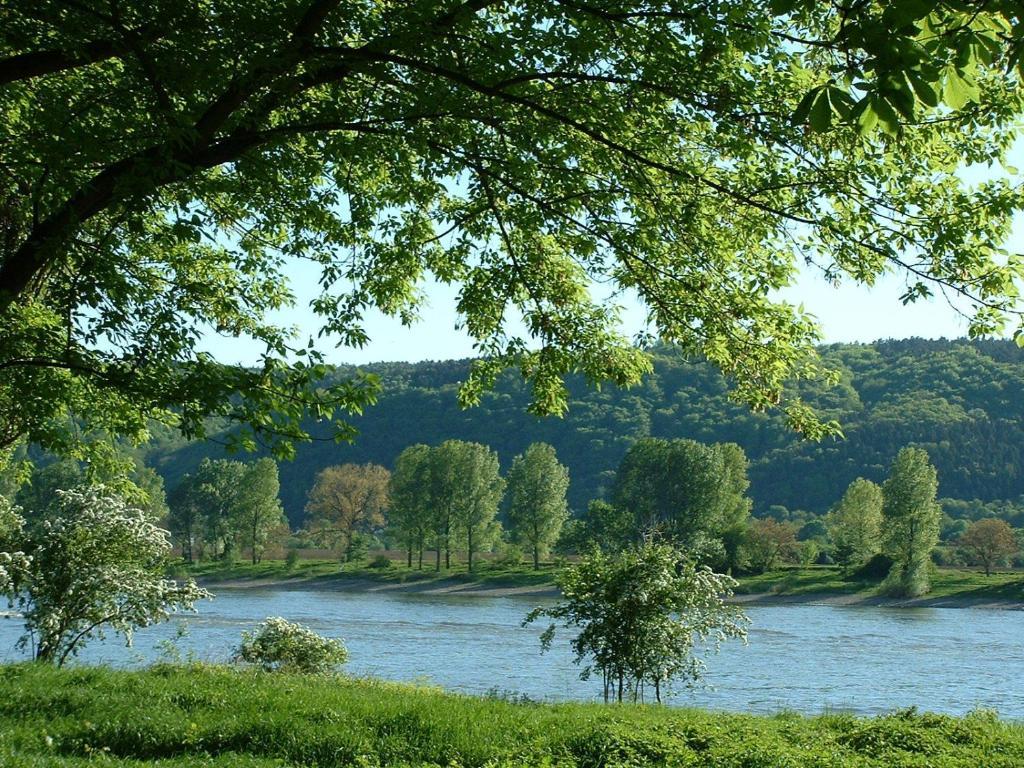 Zur Rheinschanz Bad Honningen Dış mekan fotoğraf